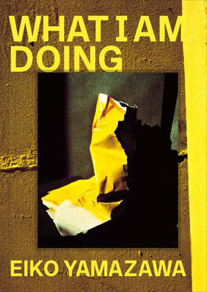 What I Am Doing (New Edition)
